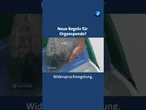 Organspende: Bundestag diskutiert über Widerspruchslösung #tagesschau #nachrichten #organspende