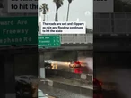 Multiple vehicles spinout and crash into each other on a California freeway