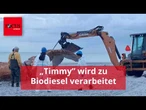 Firma bestätigt: Wal „Timmy” wird zu Biodiesel verarbeitet