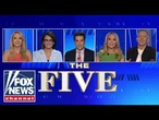 'The Five': Mamdani emerging as the new 'king-maker' of the Democratic Party