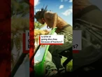 Is Grand Theft Auto VI going disc-free because of hackers? #GTA6 #RockstarGames #BBCNews