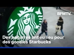 "Bearista Cold Cup": cette tasse Starbucks en forme d'ourson a provoqué des bagarres et des pénuries