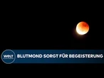 BLUTMOND-SENSATION: Weltweit beobachten Millionen Menschen die totale Mondfinsternis