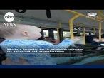 Baby leads bus passengers in round of applause