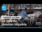 Côte d'Ivoire : le mouton se fait cher avant la Tabaski • FRANCE 24