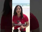 Jellyfish sting hundreds of Florida beachgoers