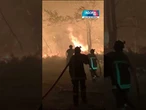 Incêndios florestais tiram 200 mil de casa na França e na Espanha