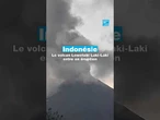 Indonésie : le volcan Lewotobi Laki-Laki entre en éruption • FRANCE 24