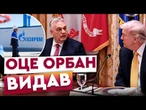 ОРБАН виліз з-під спідниці ПУТІНА? ПРЕМ'ЄР УГОРЩИНИ на зустрічі з ТРАМПОМ ШОКУВАВ ЗАЯВОЮ!