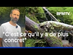 À la rencontre de Max qui a décidé d'acheter des parcelles de forêt pour relancer la biodiversité
