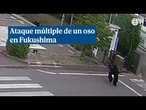 Una cámara capta el ataque de oso contra un empleado en Fukushima