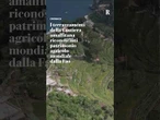 I terrazzamenti della Costiera amalfitana diventano patrimonio agricolo mondiale