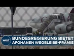 MIGRATION: Bundesregierung bietet Afghanen Wegbleibe-Prämie – Modell günstiger als Abschiebung?