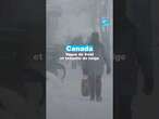 Le #Canada fait face à de fortes tempêtes de neige FRANCE 24