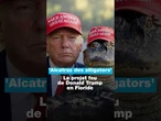 '#Alcatraz des #alligators' : le projet fou de Donald #Trump en Floride • FRANCE 24