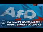 UMFRAGEN-SCHOCK: AfD auf Siegeskurs - Droht Thüringen das erste AfD-geführte Bundesland?