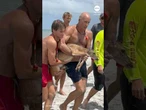 Lifeguards rescue deer swept out to sea at Florida beach
