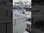 Cars trapped in ice after Detroit neighbourhood floods then freezes