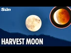 LIVE: Huge supermoon in Karachi is first of the year for Pakistan