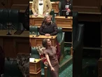 Surprise Haka breaks out in New Zealand parliament