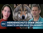 JAGD AUF DEN WOLF: Rainers Pläne polarisieren! Landwirte begeistert – Naturschützer auf der Zinne!