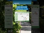 【「緑の日傘」消える日本】街中の木陰が縮小しています。東京23区では9年間で東京ドーム256個分が消えました。#酷暑 #街路樹 #日経電子版 #shorts