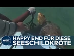 RETTUNG VOR MIAMI: Happy End an der Küste! Marine Patrol Unit befreit Schildkröte aus Netz
