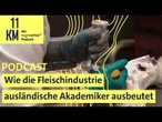 Wie die Fleischindustrie ausländische Akademiker ausbeutet