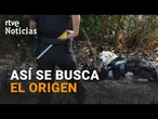 INCENDIOS FORESTALES: CÓMO INVESTIGAN los AGENTES RURALES el ORIGEN y la CAUSA de los FUEGOS | RTVE