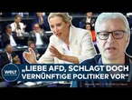 BUNDESTAG: „AfD könnte Opferrolle mit klugen Kandidaten durchbrechen“ - Politologe Thomas Poguntke