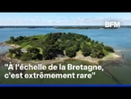 Six hectares, cinq plages, deux maisons…une île en Bretagne est à vendre pour 2,5 millions d’euros