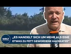 GROẞKATZE IN SACHSEN-ANHALT: Mutmaßliche Puma-Sichtung sorgt bei Campern für Alarmstimmung!