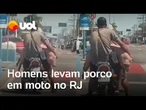 Homens são flagrados levando porco em moto em Belford Roxo; veja vídeo