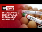 Gripe aviária: entenda o que é e as formas de transmissão | LIVE CNN