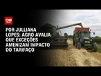 Agro avalia que exceções amenizam impacto do tarifaço | CNN ARENA