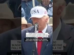 Trump: "Che belli i miei due figli, potremmo fare una cosa a tre"