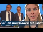 MEINUNG: "Ein Parteiverbot macht die AfD nur stärker!" – Droht der Schuss nach hinten?