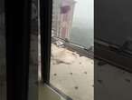 Super Typhoon BATTERS apartment windows