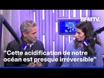 La 7e limite planétaire est franchie: pourquoi nos océans ont-ils basculé dans "une zone de danger"?