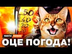 СИНОПТИКИ ОШЕЛЕШИЛИ ПРОГНОЗОМ ПОГОДИ! Осені НЕ БУДЕ? Що ЧЕКАЄ УКРАЇНЦІВ найближчим часом?