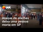 Ataque de abelhas deixa uma pessoa morta e várias feridas em Itapetininga (SP)