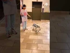 Robo dog goes for a walk in Texas mall