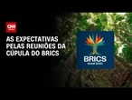 Brics esvaziado enfrenta dificuldades de manter agenda | WW
