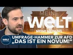 MEINE MEINUNG: Hammer-Umfrage! Zustimmung zur Kooperation mit AfD steigt auf Rekordhoch