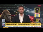 Trofeum w szponach Orłów! | Rafał Kacprzak | Klub Sportowy Republiki