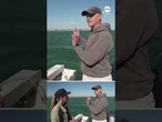 Warnings of a shark surge in California this summer