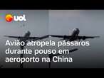 Avião atropela pássaros durante pouso em aeroporto na China ;vídeo mostra momento