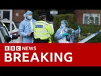 Afghan man charged with murder after dog walker killed in triple stabbing in London | BBC News