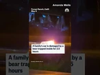 Bear tears apart car after getting trapped inside for 2.5 hours