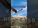 With a Proud American bucket hat, you’ll be flying like an eagle